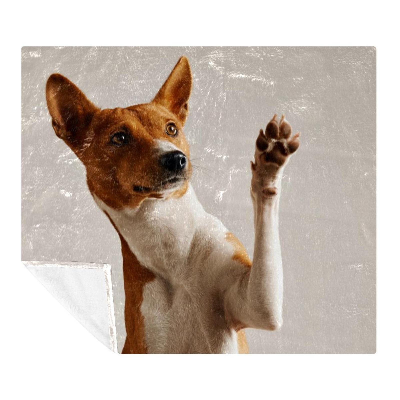 Couverture pour chien polaire et douce pour des soirées cocooning en famille sur le canapé