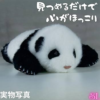 71IMKKp4M3L._UF350,350_QL80_.jpg