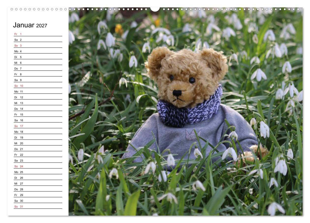 CALVENDO - Teddy unterwegs (hochwertiger Premium Wandkalender 2027 DIN A2 quer), Kunstdruck in Hochglanz: Ein Teddykalender für die ganze Familie