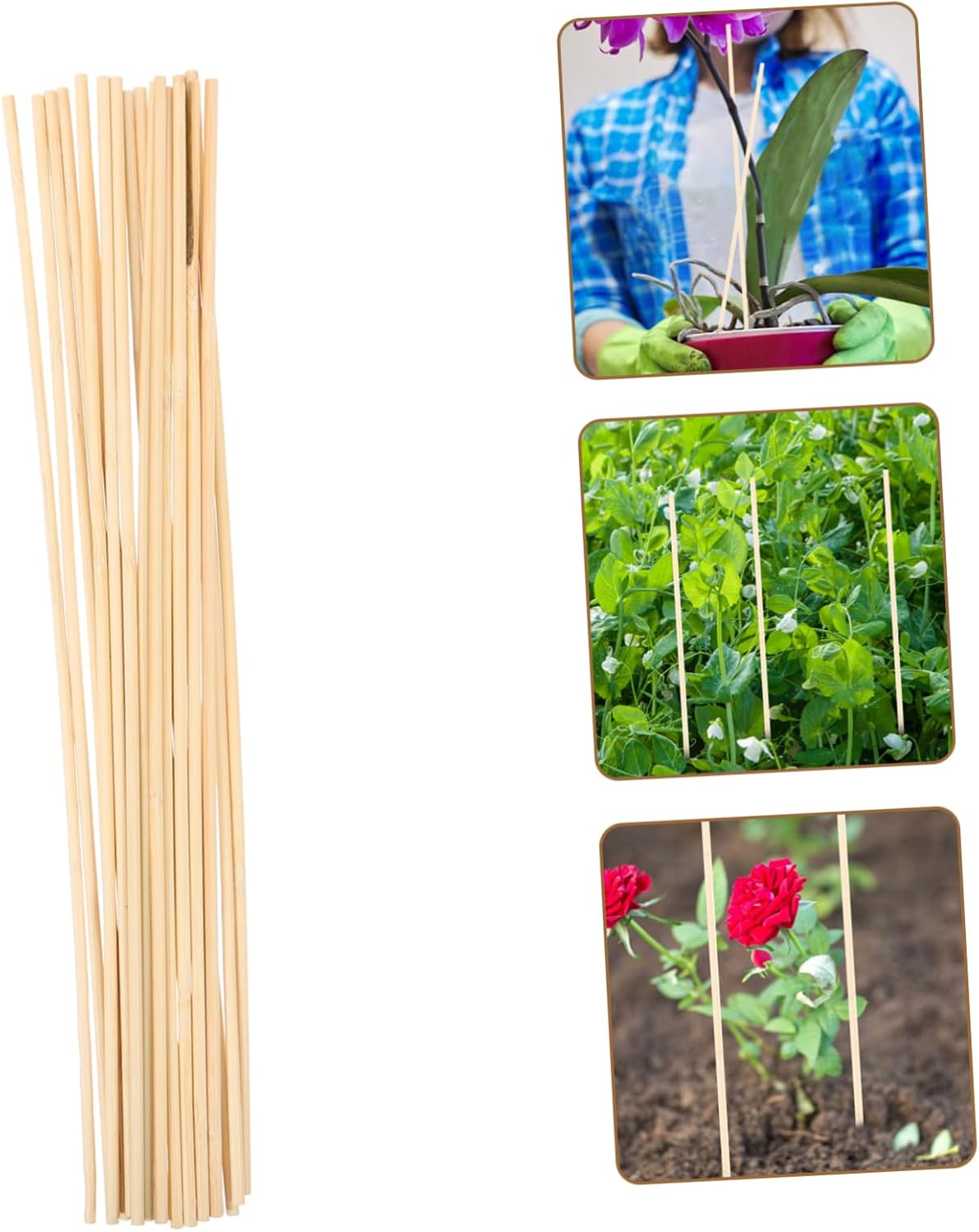 Toyvian 80pcs Plant Climbing Support Sticks for Indoor and Outdoor Use for Vines Orchids and Flower Pots for Healthy Growth