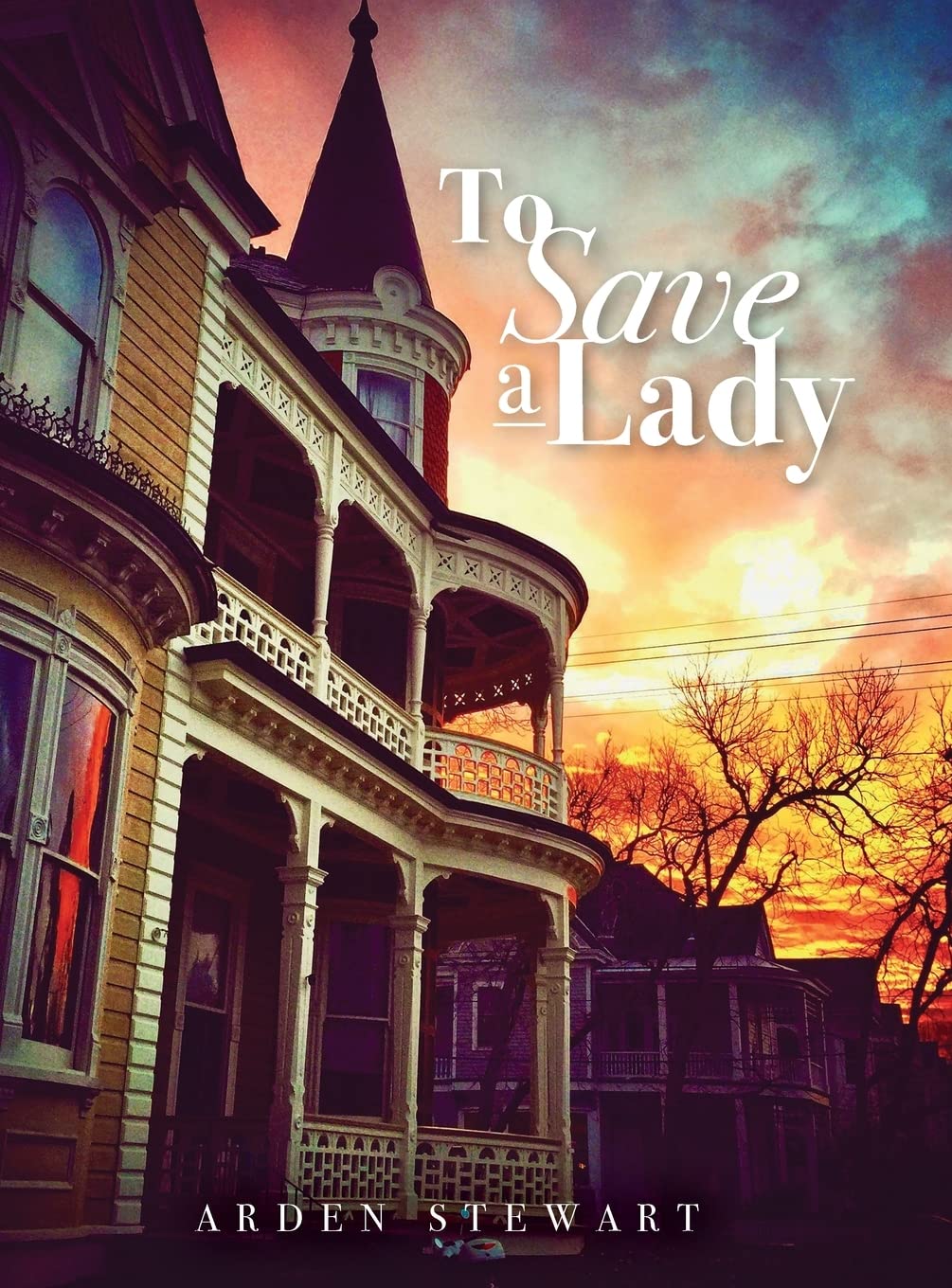 To Save a Lady cadeau idéal livre anniversaire pour amateur de belles histoires