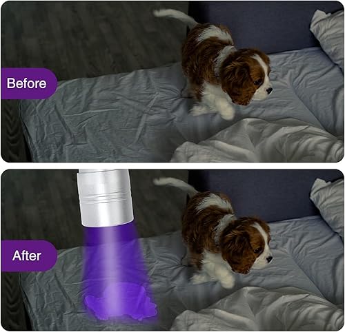 Miniatura 5 de COSOOS Paquete de 2 linternas de luz negra, 12 luces LED pequeñas UV de 395 nm, luz detector de orina de mano para perros y gatos, manchas secas,