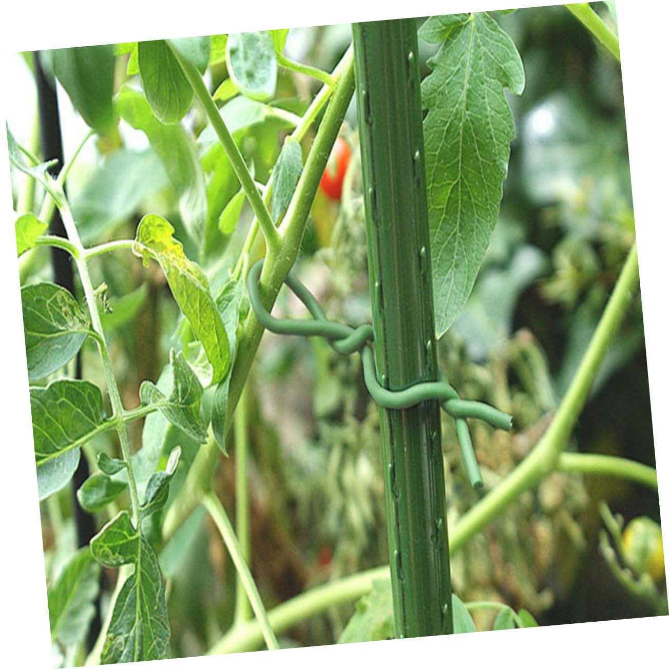TOYANDONA 2 Rollen Bindedraht Aus Kunststoff Anlage Gartenarbeit Pflanzenbindungen Gartendraht Garten Stützdraht Gartenbaulinie Gartenzubehör Kabel Blumenpot -rebefixierung Eisen Grün