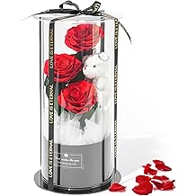 Flowers Forever Roses in A Box, 3 Real Roses with Stems and Bear, Eternal Rose Gifts for Her,Birthday Gifts for Women, Mom,Girlfriend,Grandma,Daughter,Red