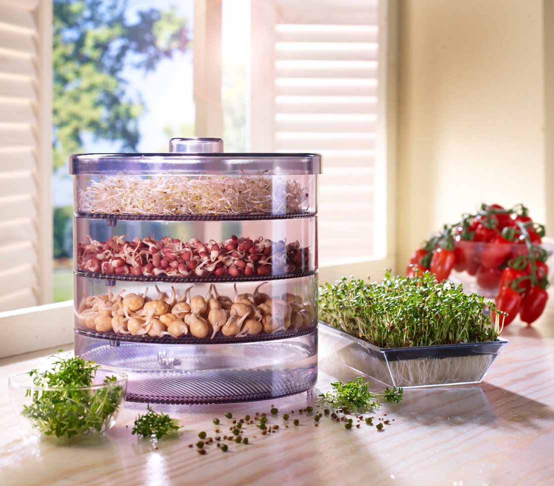 Dehner Sprossenhaus, para el cultivo de brotes de gérmenes, con 4 cuencos.
