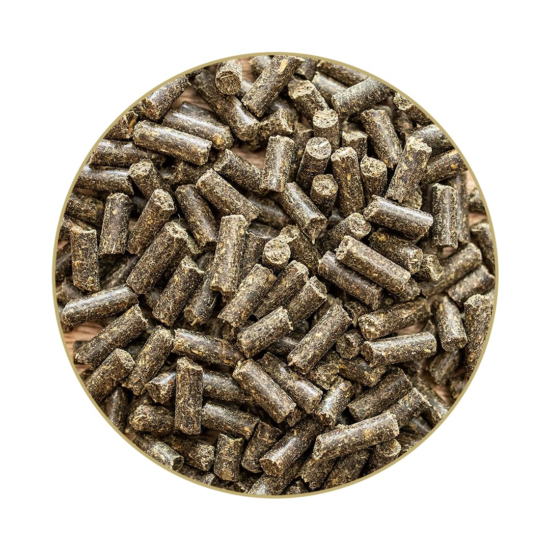 St. Hippolyt Ungulat - Cubo de recompensa (10 kg, 2 x 1 kg)