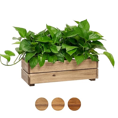 Wooden Planter Box, Storage Box 17”L x6”W x5.5”H with Crate