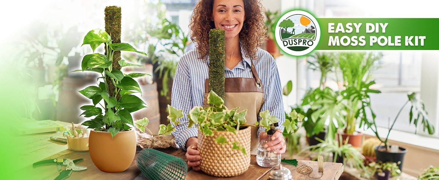 plant pot window DIY Planter Kit Subscription
