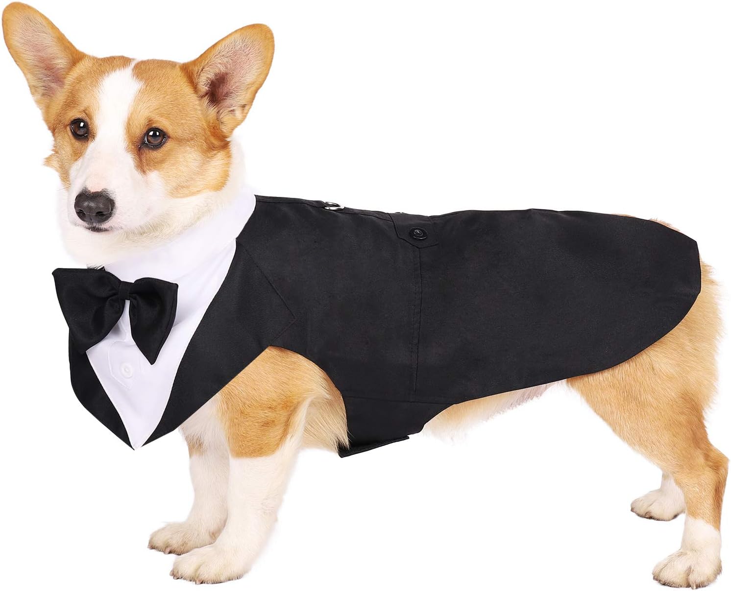 Dog Tuxedo for Dogs Suit and Bandana Set Dogs Tuxedo Wedding Party Suit Dogs Tuxedo Costume(Large,Black)