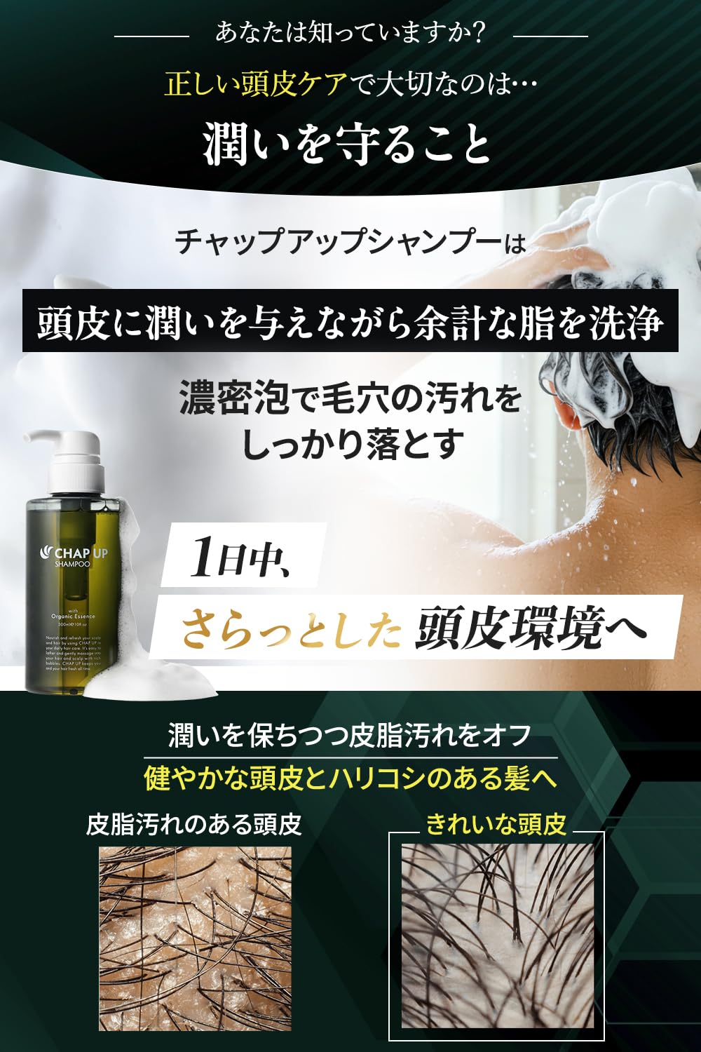 Amazon.co.jp: チャップアップ（CHAPUP）