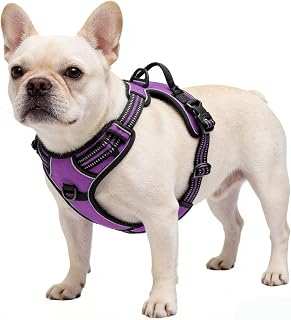 Purple No-Pull Dog Harness with 2 Leash Clips，Soft Padded Vest for Medium Dog, Adjustable Reflective Dog Vest Easy to Put on and Take Off, (Neck: 14"~20", Chest: 21"~27", Purple M)