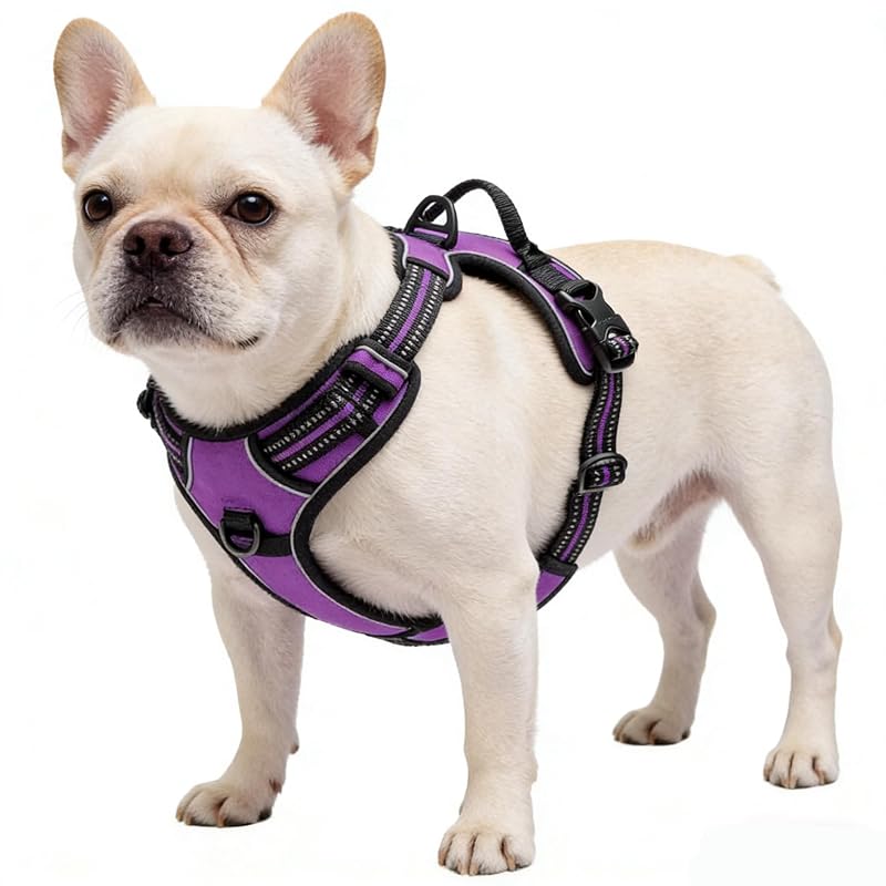 Peitoral Vest para Cães com Faixas Refletivas e 2 Pontos de Guia Azinoo Roxo M