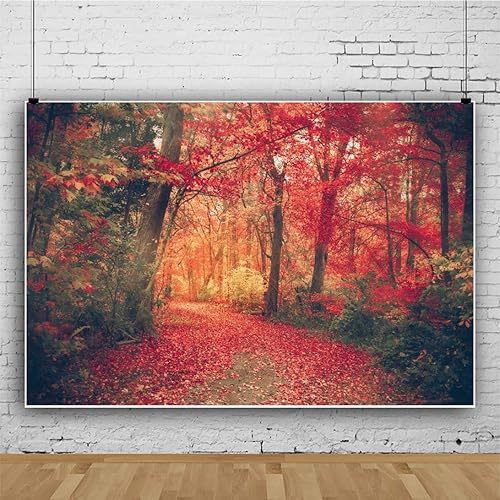 Miniatura 3 de OERJU Telón de fondo de bosque de arce otoñal de 7 x 5 pies, otoño, puesta de sol, bosque, camino, hojas rojas, camino, paisaje natural, fotografía,