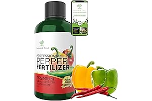 LEAVES AND SOUL Fertilizer For Pepper Plant | Promising Lucrative Harvest