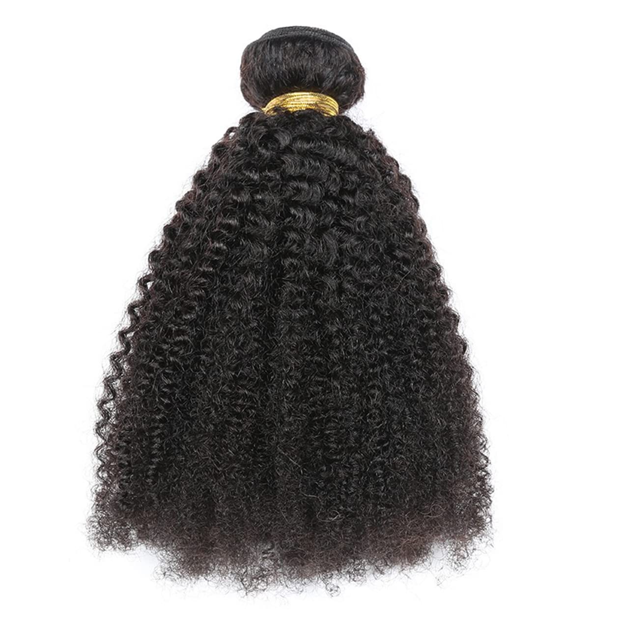 Hair Replacement Wigs Kinky Curly Virgin Human Hair Extensions Weft 100g/Bundle Real Brazilian Remy Hair Tight Afro Curly Natural Black For Women 20" Unprocessed