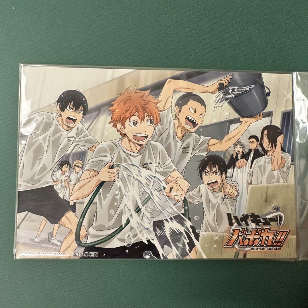 Amazon.co.jp: ハイキュー バボカ ポストカード 烏野 水遊び 水浴び