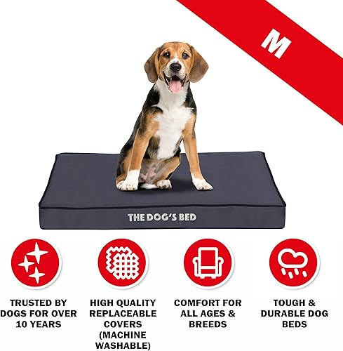 Miniatura 6 de The Dog's Bed - Cama ortopédica para perro, gris medio con ribete negro, impermeable, cama de apoyo con fundas reemplazables lavables, aprobada por