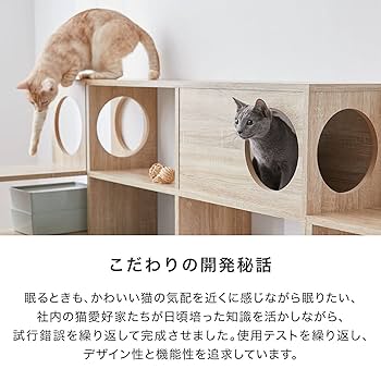 ★RARERAW レアロー★CAT WALL SHELF★猫 ウォール シェルフ ☆RARERAW レアロー☆CAT WALL SHELF☆猫 ウォール シェルフ