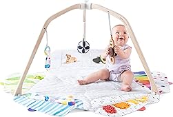 The Play Gym by Lovevery