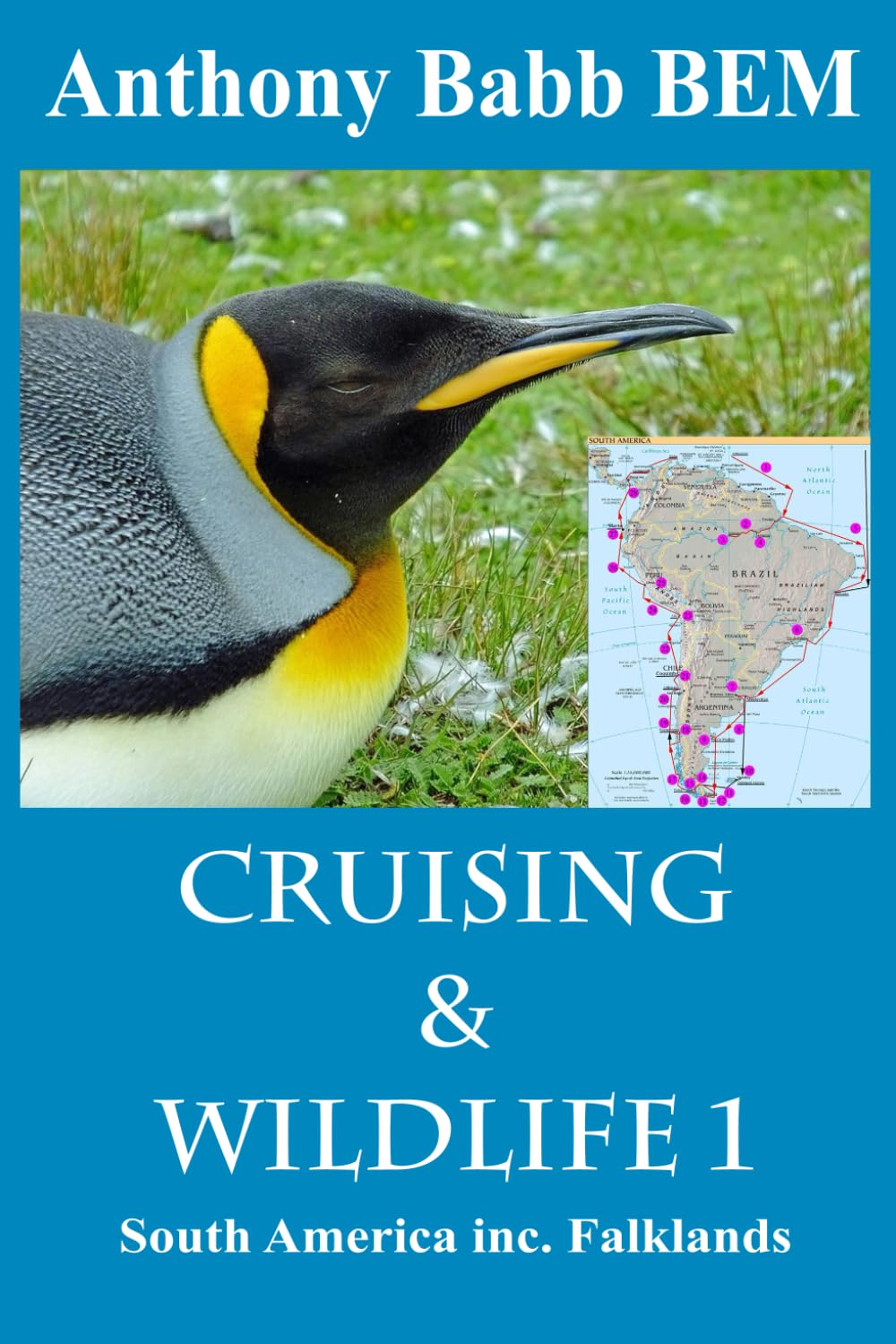Cruising & Wildlife 1: South America inc. Falklands