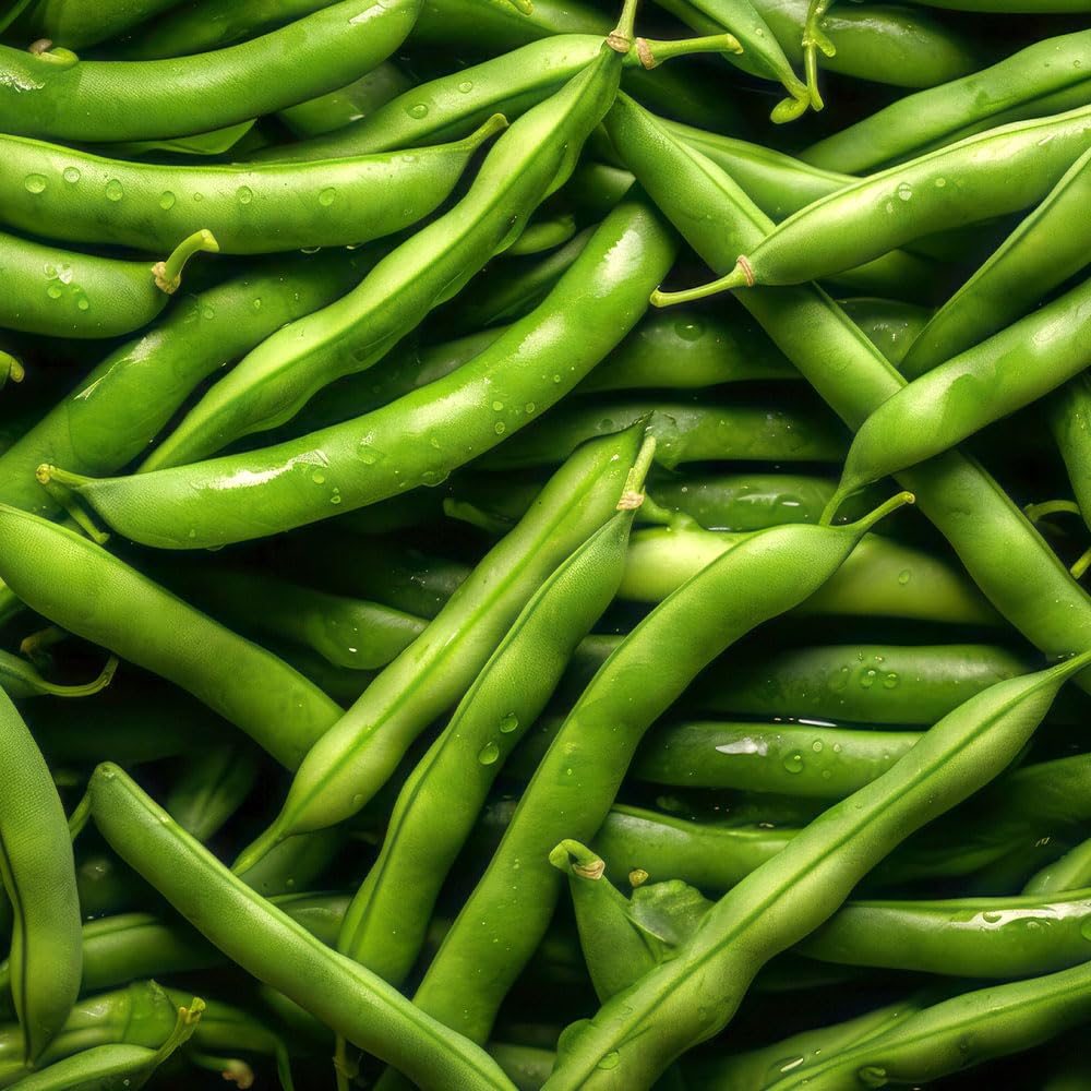 Broad Bean Superaguadulce Seeds – A Classic for Autumn Sowing, with Giant Pods Up to 25cm Long – for Your Beautiful Kitchen Garden