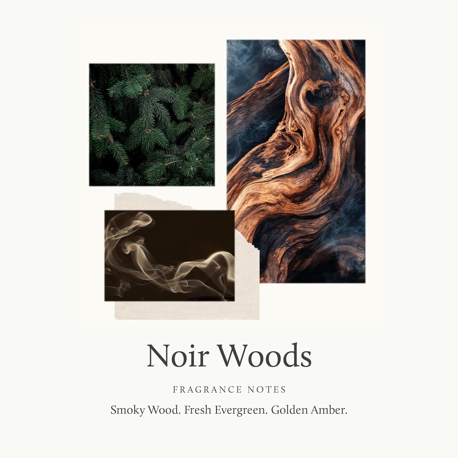 Thymes Home Fragrance Mist – Room Air Fresheners for Home Long Lasting – Air Freshener Spray – Scented Room Spray with Notes of Fresh Evergreen, Smoky Wood & Amber (Noir Woods, 3 oz) - Image 3