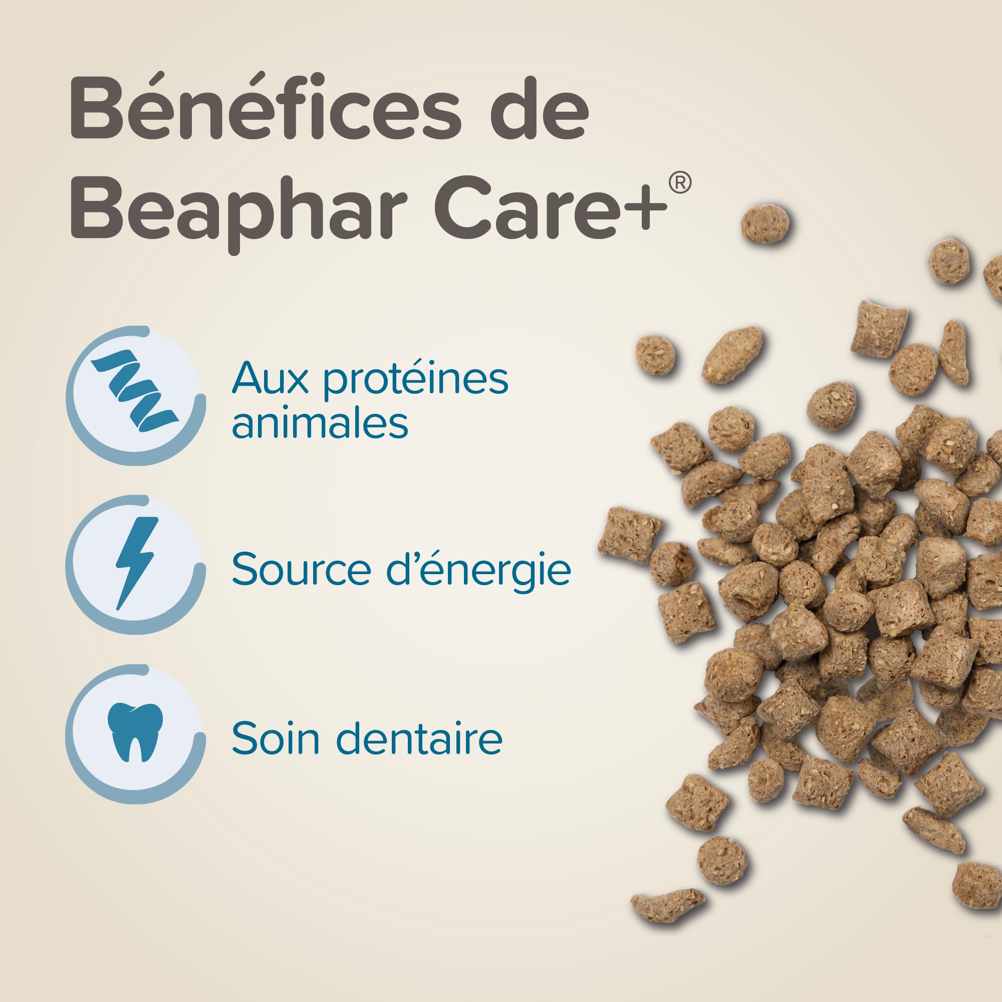 BEAPHAR – Care+ – Alimentation Super Premium extrudée pour Hamster – avec protéines animales – Haute digestibilité & Valeur énergétique – Usure Naturelle des Dents – sans sucres ajoutés – 700g