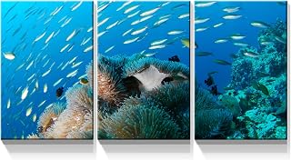 Wewejia Marine Fish Canvas Wall Art 3Pcs