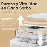 Ver la foto 4