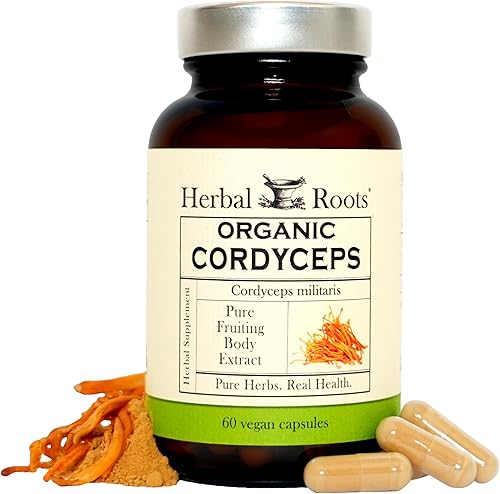 Herbal Roots Organic Cordyceps - Cápsulas de hongos con extracto corporal fructífero - Apoyo inmunológico y energético - 60 cápsulas veganas