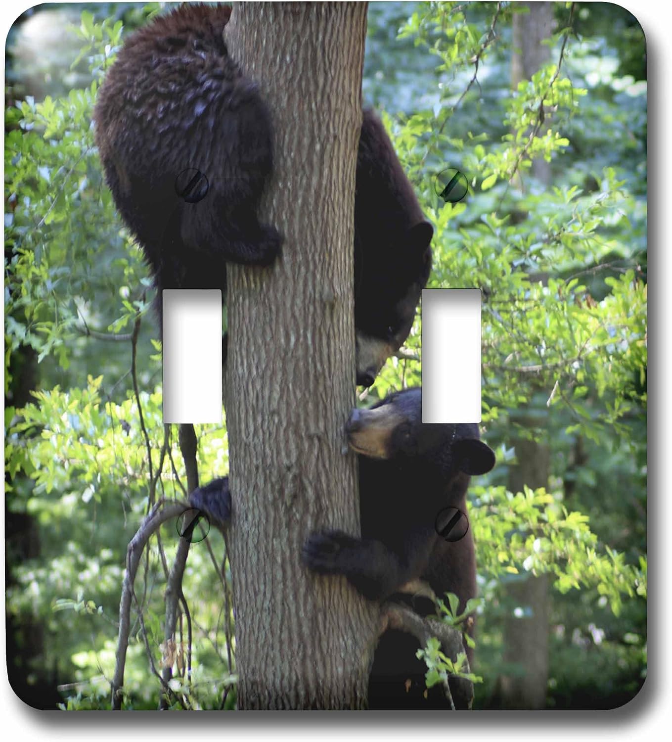 3dRose lsp_57063_2 Two Bears in Tree Playing Double Toggle Switch