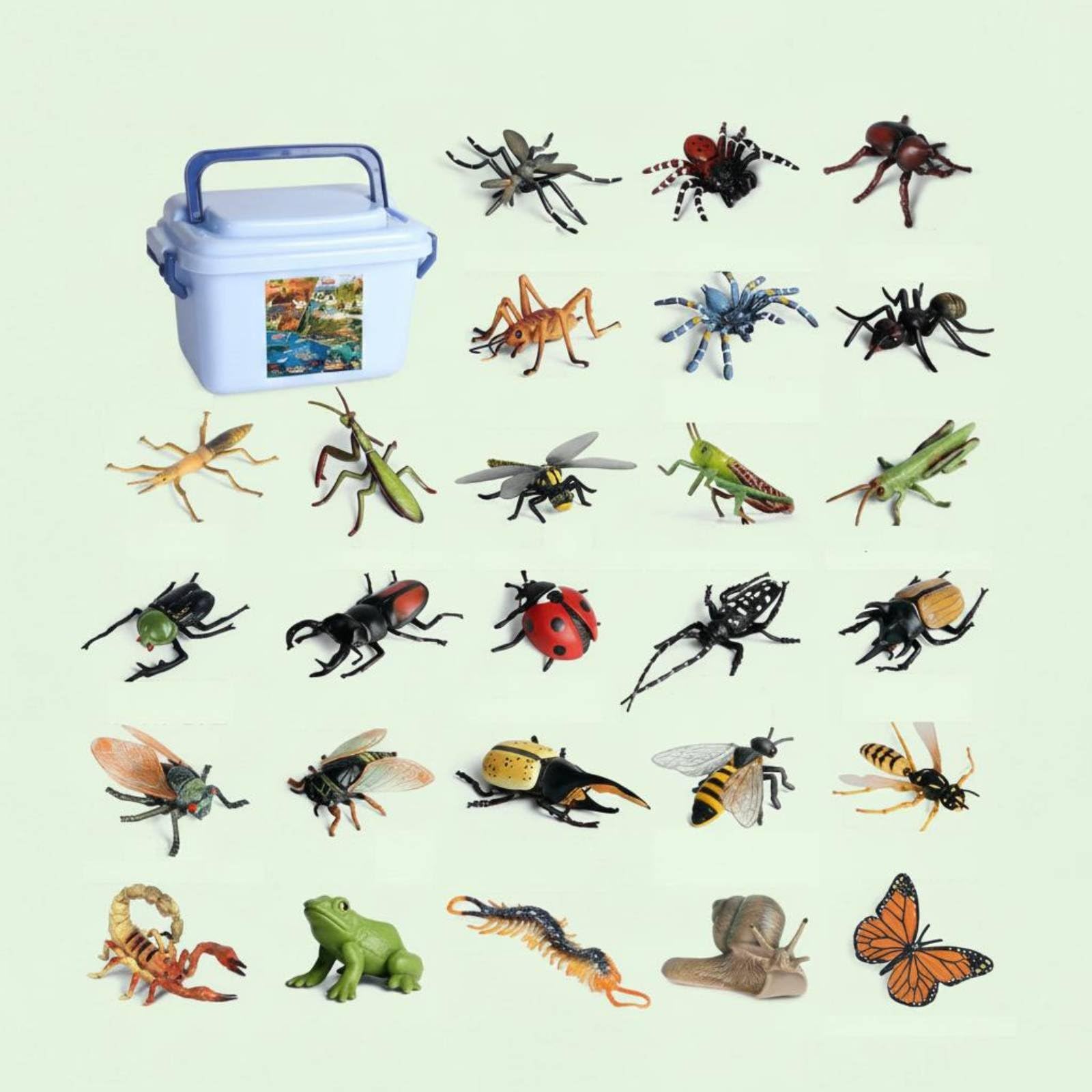 26 Stück Lern Insektenfiguren Set Insekten Spielzeug Tierfiguren Lernspielzeug Sammelfiguren Detailliert Handbemalt mit Robuster Aufbewahrungsbox für Frühförderung Zuhause