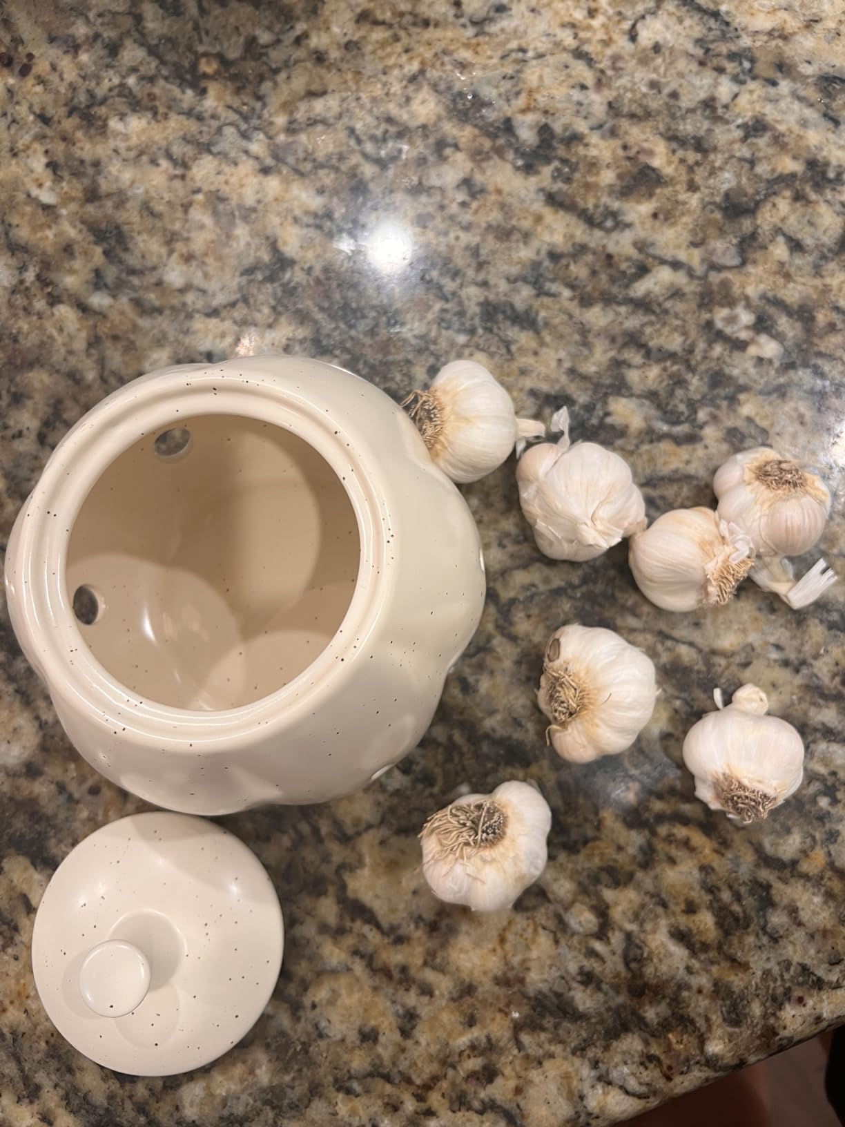BosilunLife Garlic Keeper Recycled Ceramic Eco-Clay