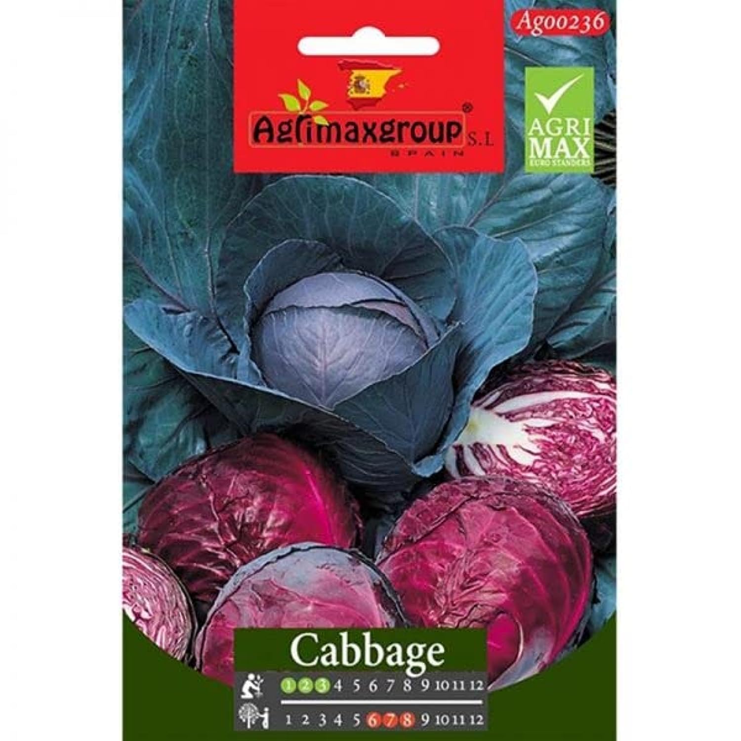 Red Cabbage Premium Quality Seeds by Agrimaxgroup®"Garden Care"