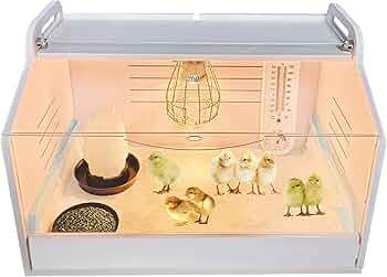 ひよこ　パネル 71IN1EuO2lL._AC_UF350,