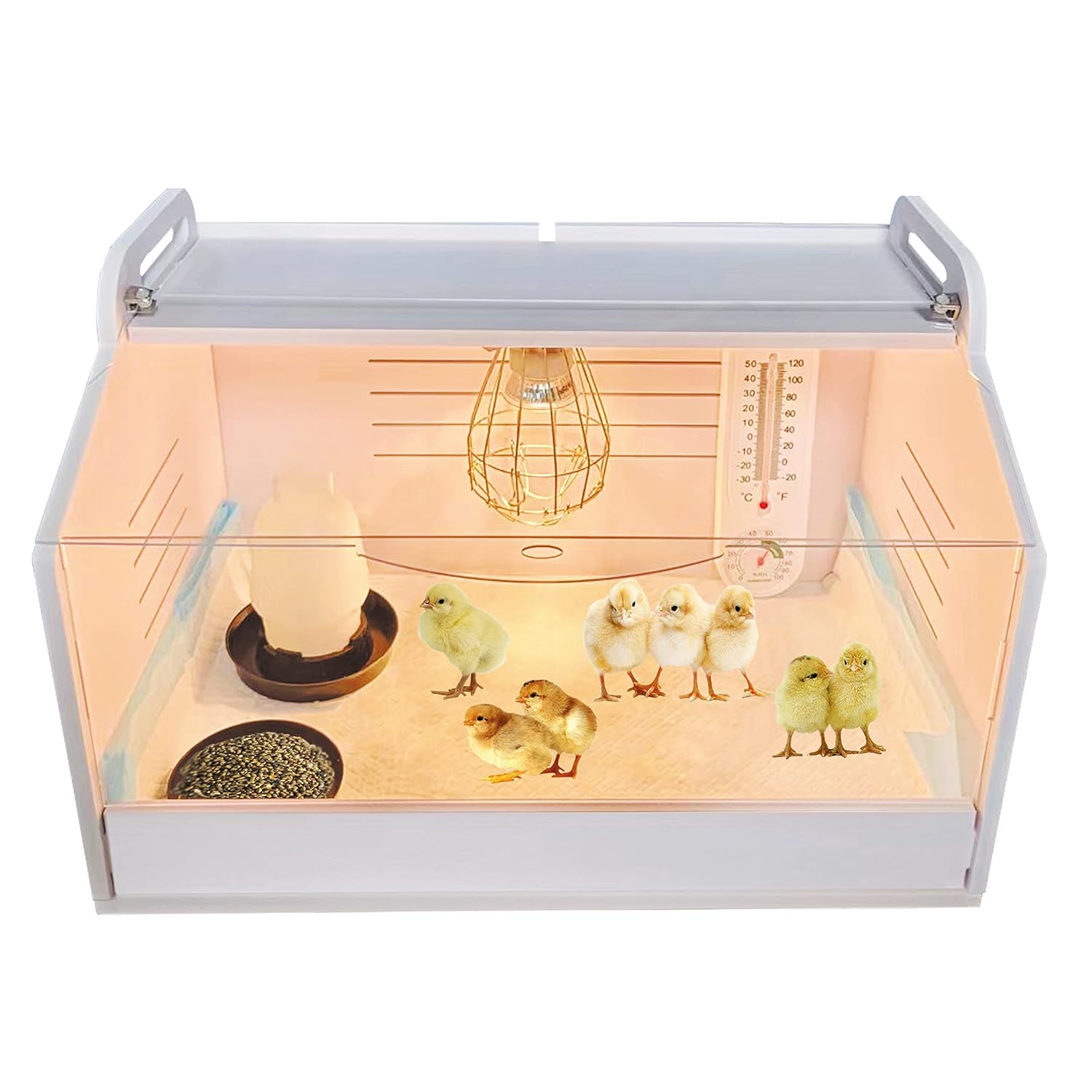 Buy Brooder Box for Chicks,Chick Brooder with Bulb Set and Thermometer ...