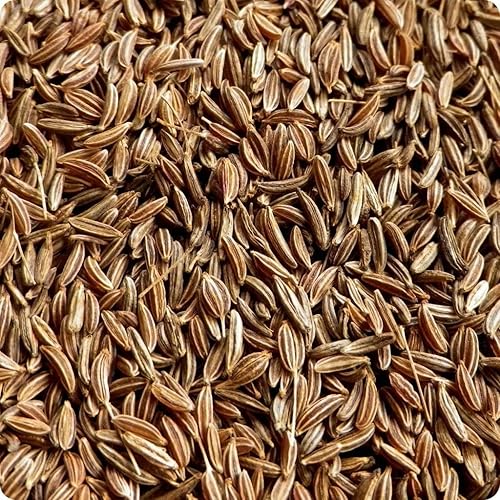 Semillas de alcaravea, hierbas, más de 25 semillas, sin OMG, puedes utilizar semillas, plantas y raíces en esta hierba