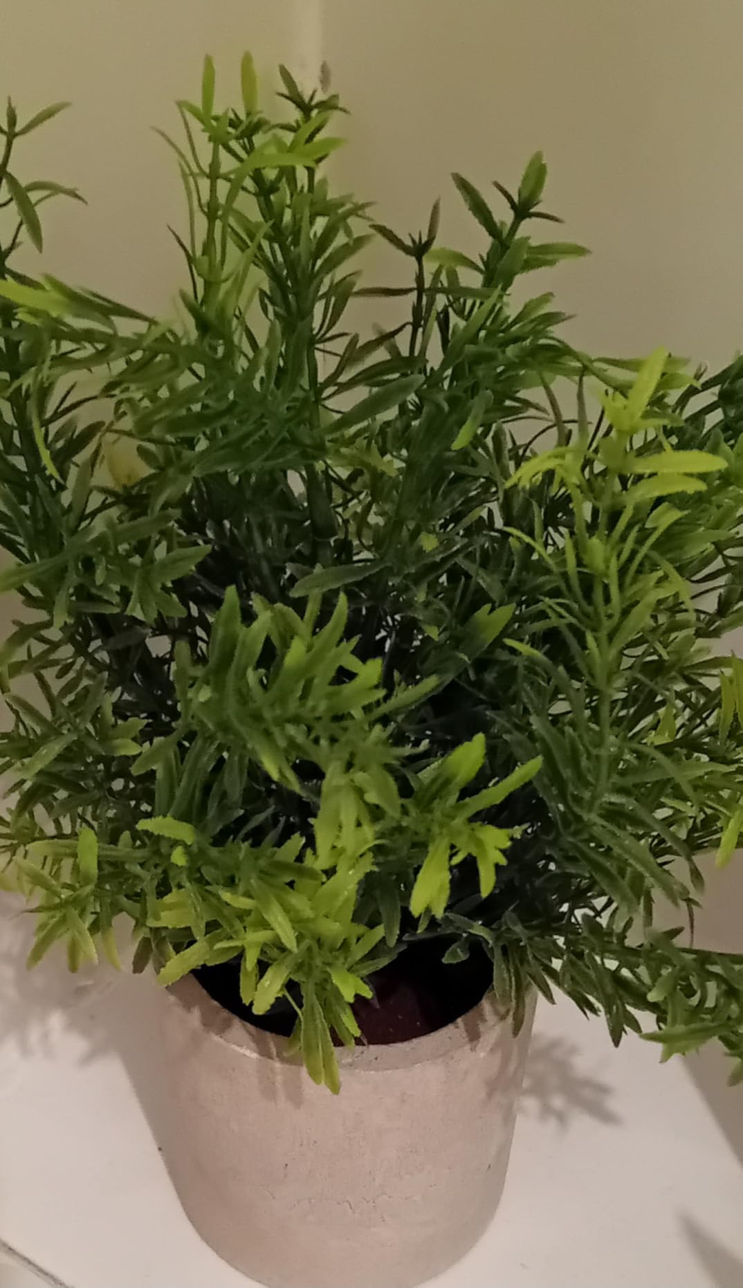 Customer photo
