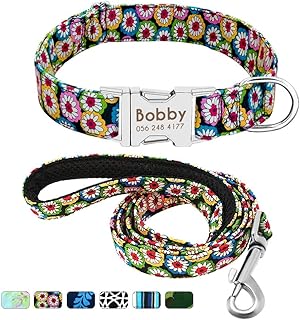 funky dog leads
