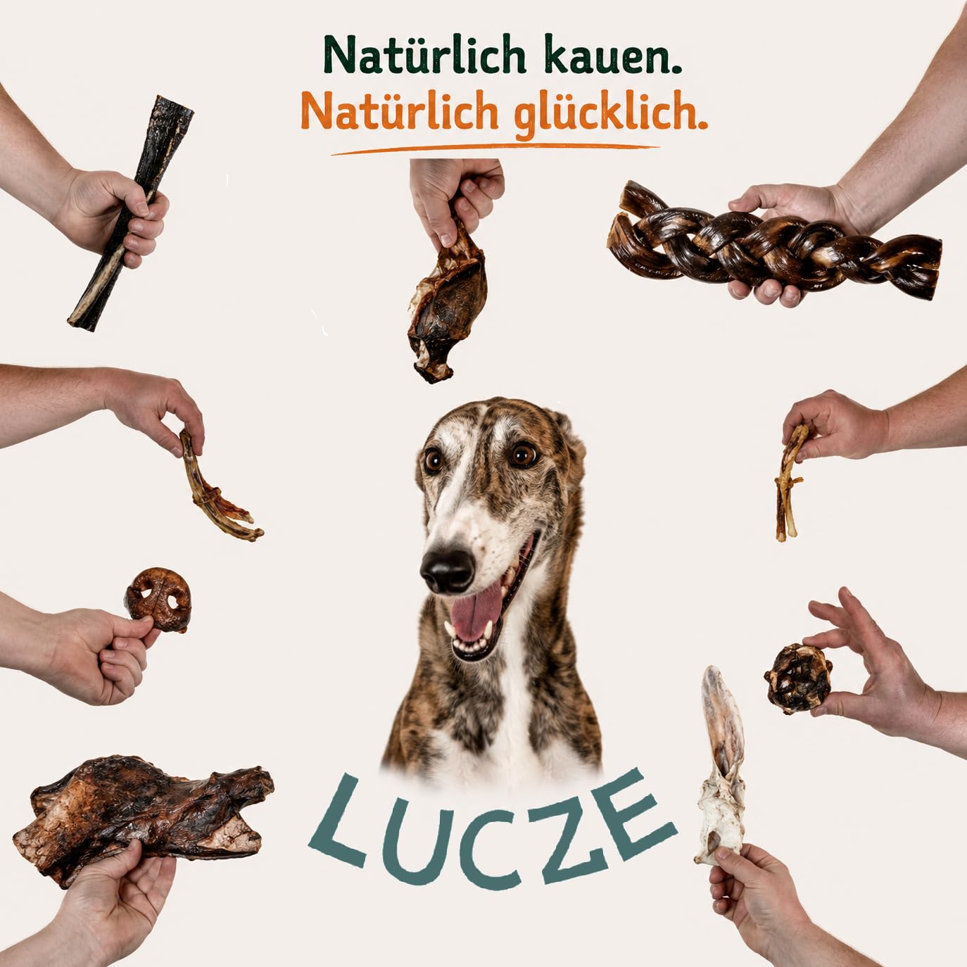 Premium - Orecchie di bovino per cani – XXL – orecchie di manzo con pelliccia – orecchie di bovino come cuoio capelluto di bovino – articolo da masticare – Lucze Premium per cani (20 pezzi)