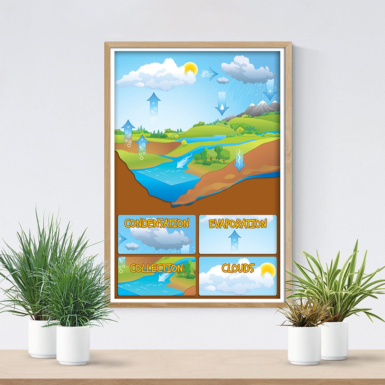 Artist Unknown The Water Cycle - Science Classroom Decorations - 12-Inch by 18-Inch - Science Supplies for Classrooms - for High School, Middle School, Elementary CPS052 - Image 4