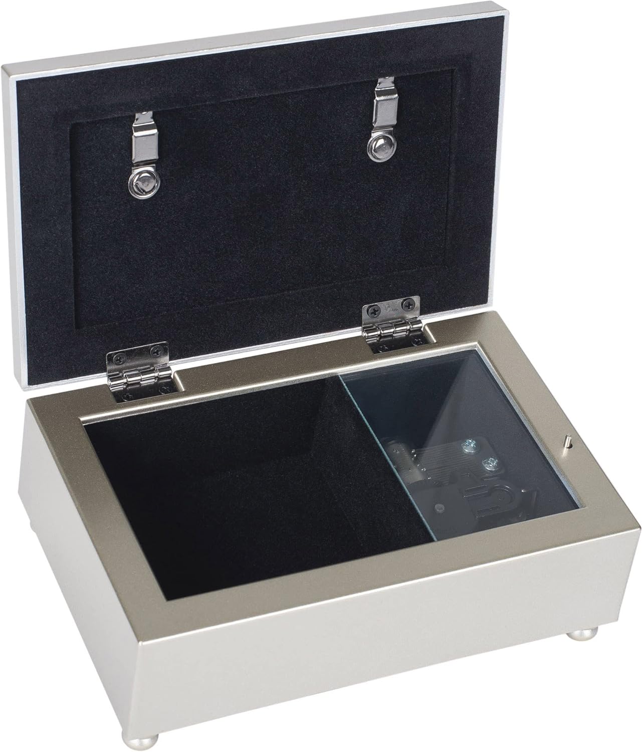 Cottage Garden Quinceañera from Girl to Woman Champagne Rope Trim Petite Music Box Plays Light Up My Life - Image 3