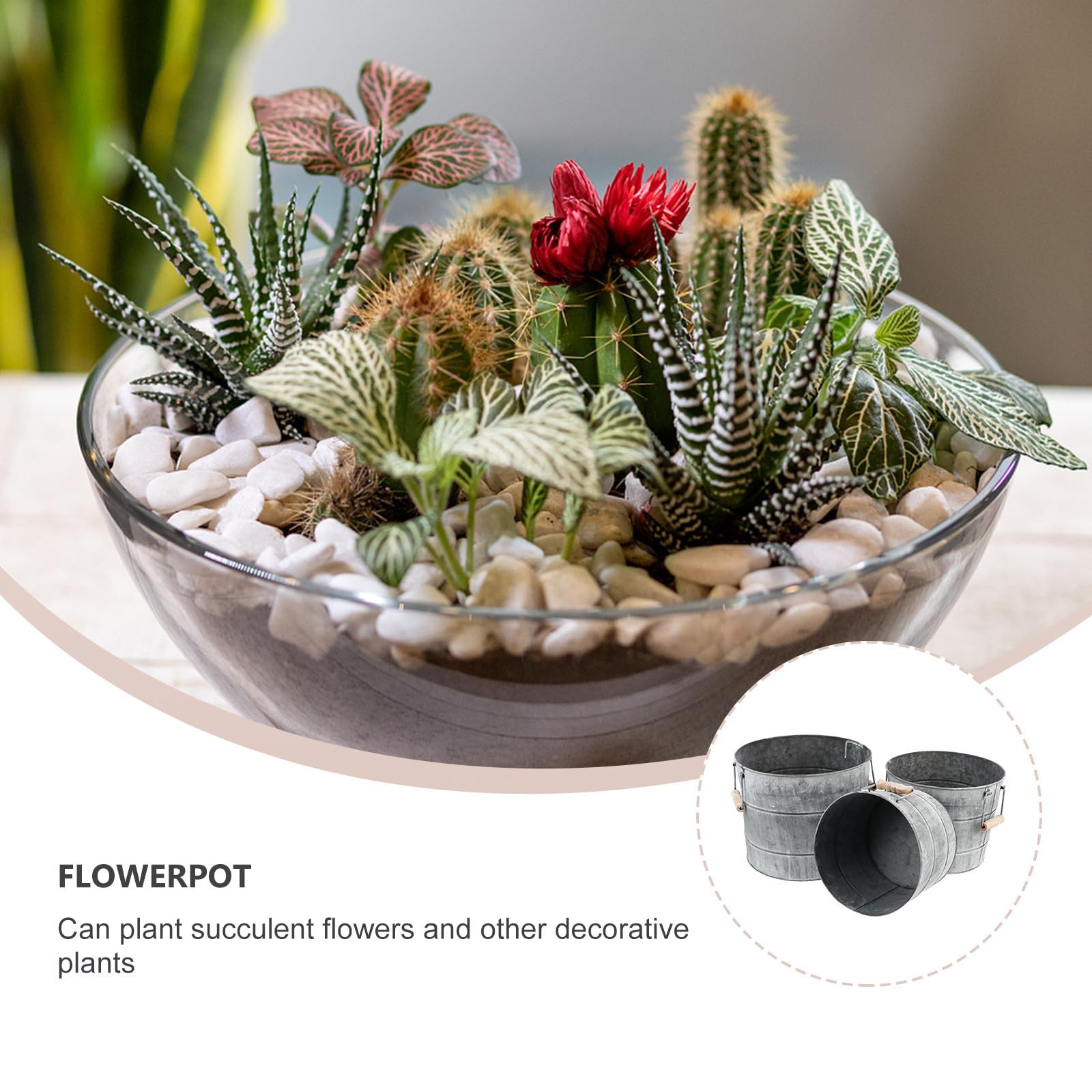 3 Piezas Maceta de Metal para Plantas Asas, Juego de Tres