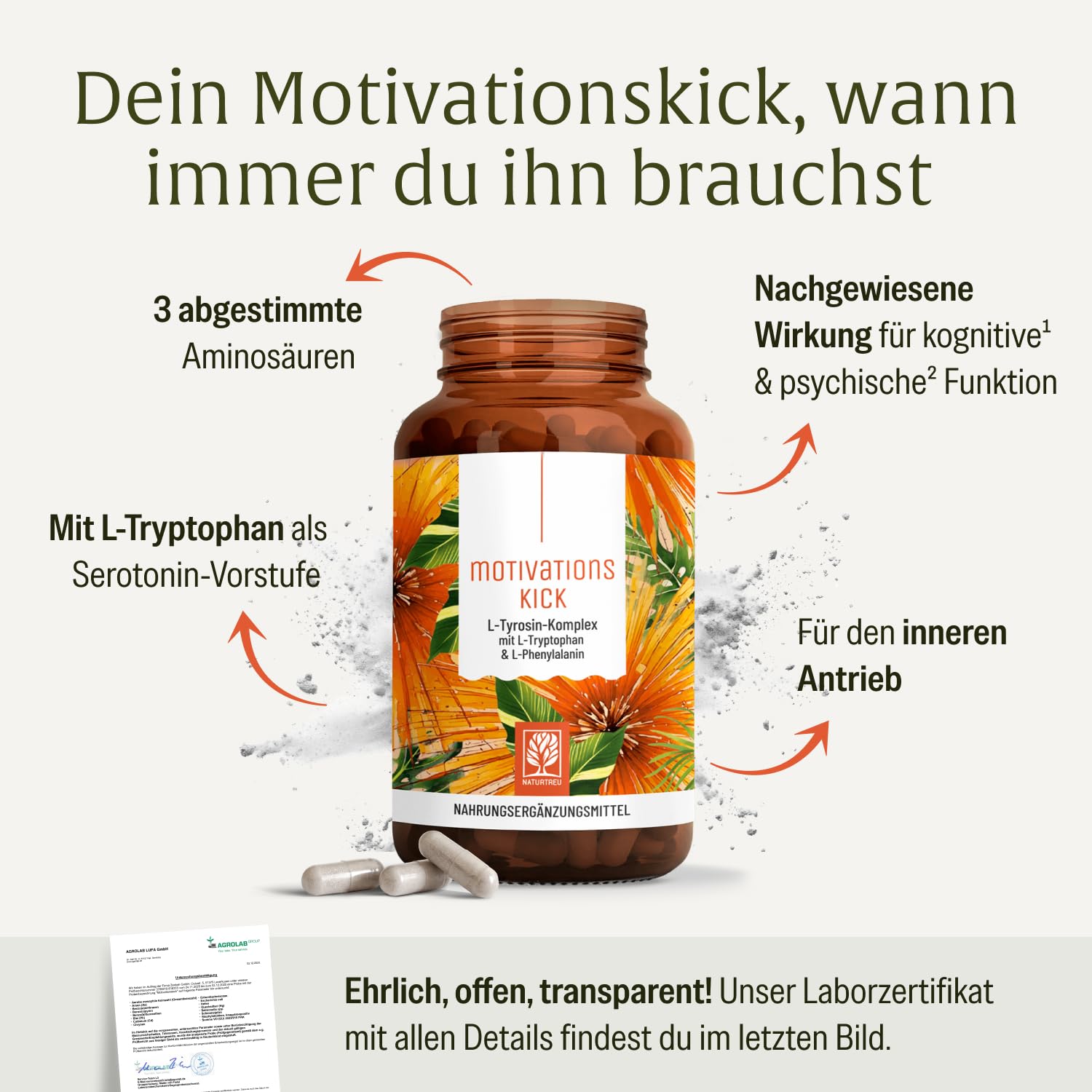 NATURTREU® Motivationskick - 500mg L-Tryptophan Kapseln | kombiniert mit L-Tyrosin & L-Phenylalanin - Vorteilsbundle 5er Paket - Vegan und in Deutschland produziert - Bausteinkomplex