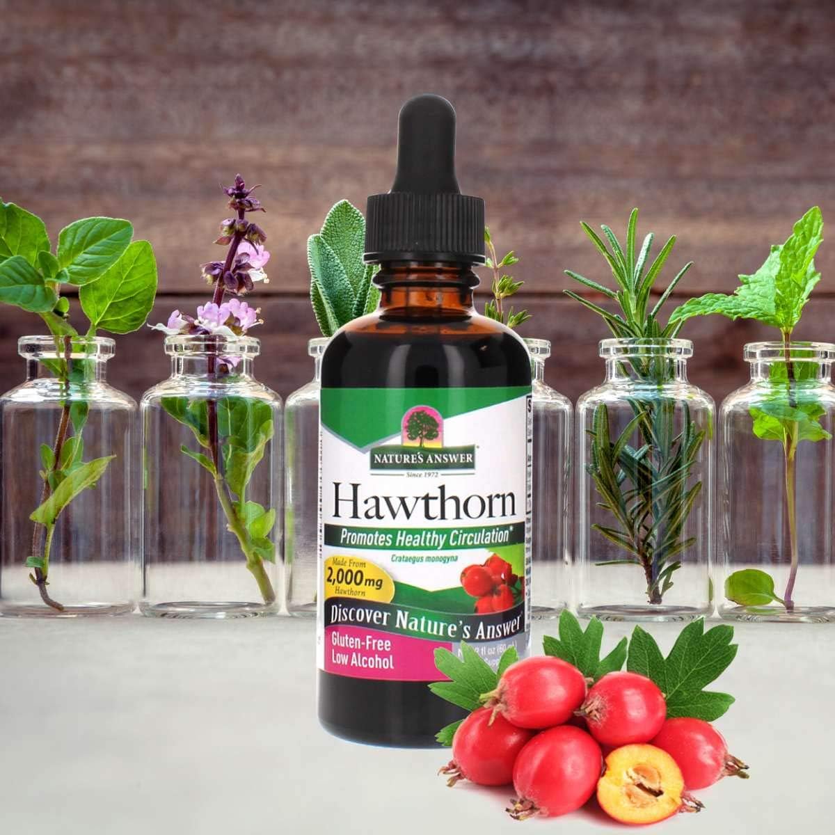 Nature's Answer Hawthorne Berry Herbal Extract Supplement with Organic Alcohol, 2-Fluid Ounces | Promotes Healthy Blood Circulation | Immune System Booster | Improves Cardiovascular Health : Health & Household
