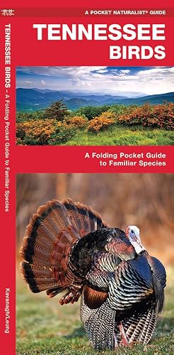 Tennessee Birds: A Folding Pocket Guide to Familiar Species (Wildlife and Nature Identification)