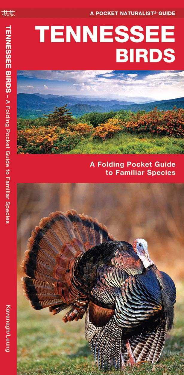 Tennessee Birds: A Folding Pocket Guide to Familiar Species (Nature Observation North America)