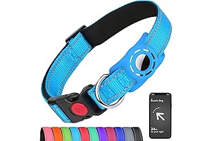 AirTag Collar: Safety and Style for Your Furry Friend