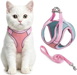 2026 New Escape Proof Cat Harness with Leash, Adjustable Step-in Breathable Reflective Comfort Vest for Small Medium Cats Kittens and Dogs Indoor Outdoor Walking(M ： 4-9 IB)