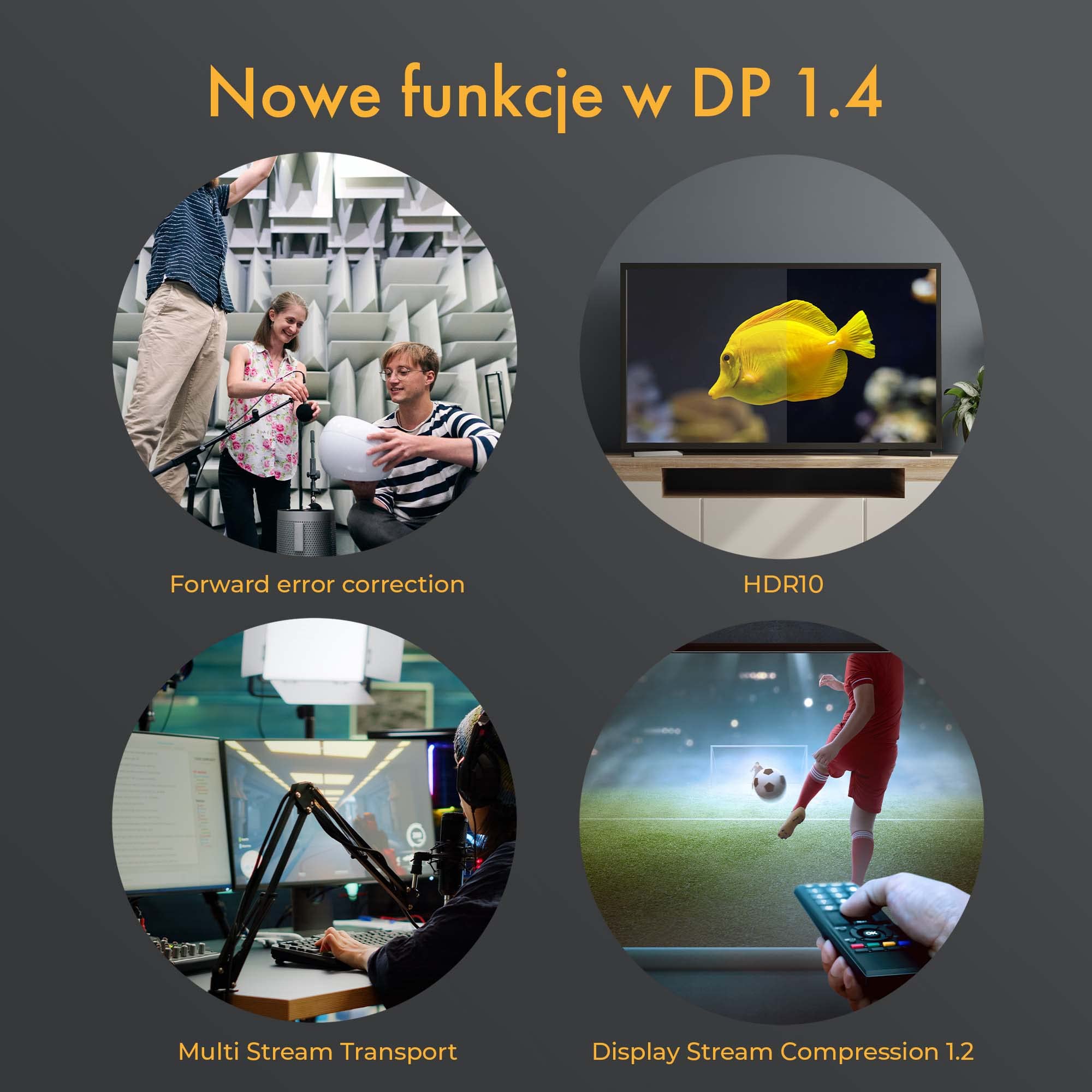 Câble DisplayPort 8K @ 60 Hz, 4K @ 144 Hz | Câble optique actif AOC | Display Stream Compression 1.2 (DSC), FEC, Dynamic HDR, HDR10, échantillonnage 4:4:4 | longueur 15 m